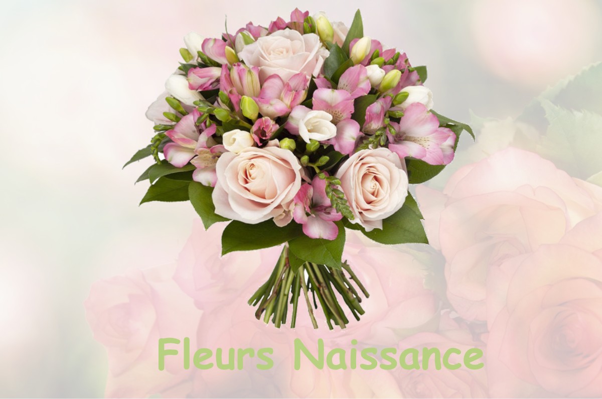 fleurs naissance ERQUY