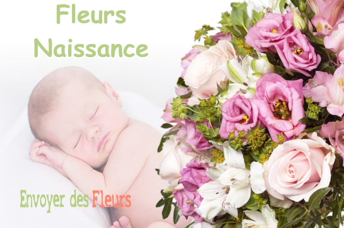 lIVRAISON FLEURS NAISSANCE à ERQUY